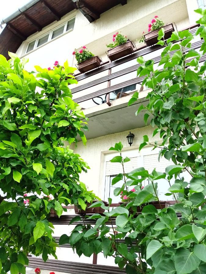 Apartman Kod Dide I Bake ヴコヴァル エクステリア 写真